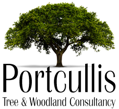Portcullis Tree and Woodland Consultancy
